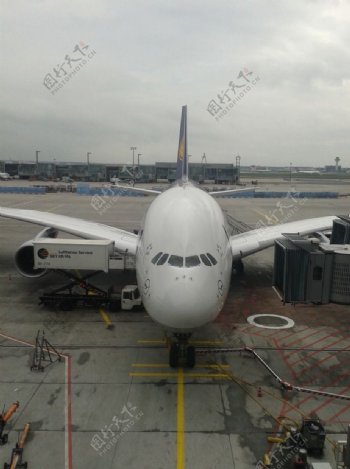 空客A380正面图片
