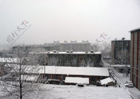 雪中小城图片
