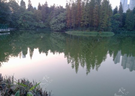 湖边景观图片