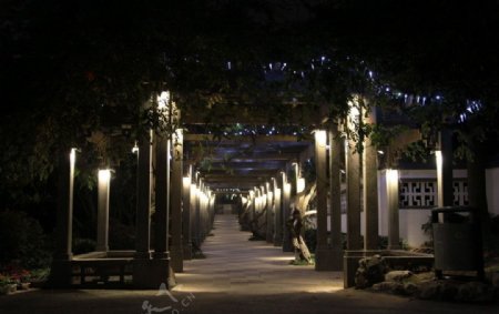 南京玄武湖LED照明亮化工程图片