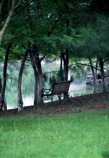 小河树林与长椅图片