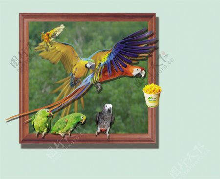 鹦鹉3D画图片