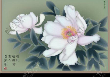 牡丹系列四芳馨国画写生图片