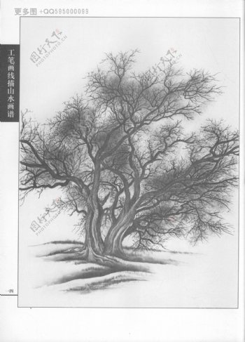 工笔画线描山水画谱树石图片