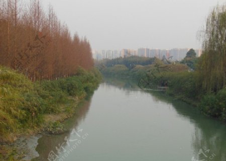 树木河流图片