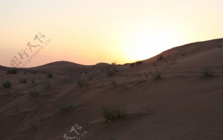 阿拉伯大沙漠图片