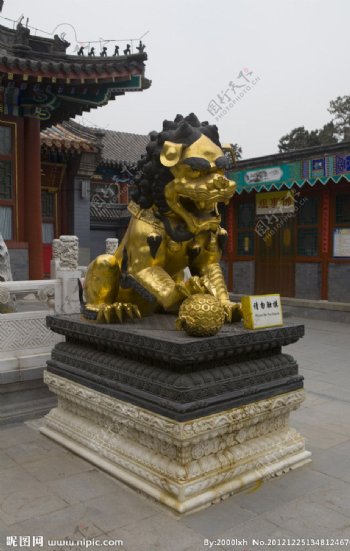 北京八大处公园金狮图片