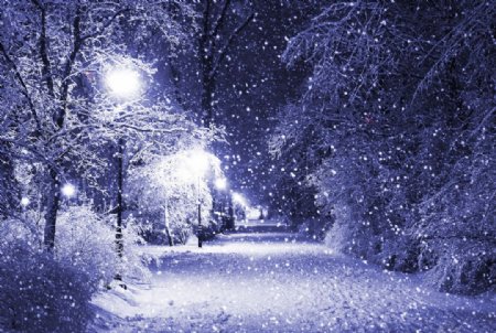 冬季公路雪夜图片