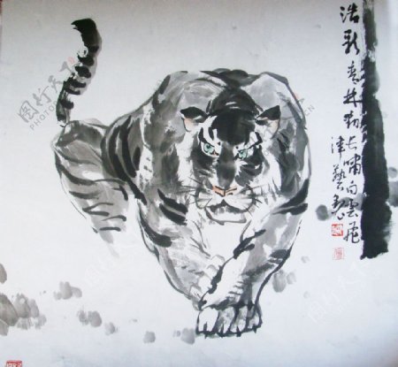 中国画虎图片