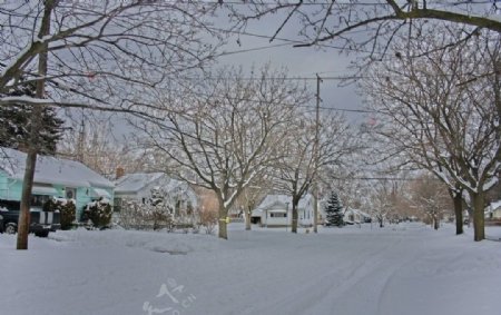 雪景图片