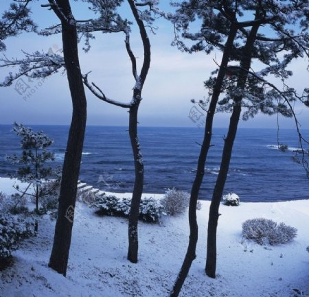 冬季海边风景图片