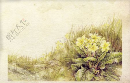 复古花卉背景图片