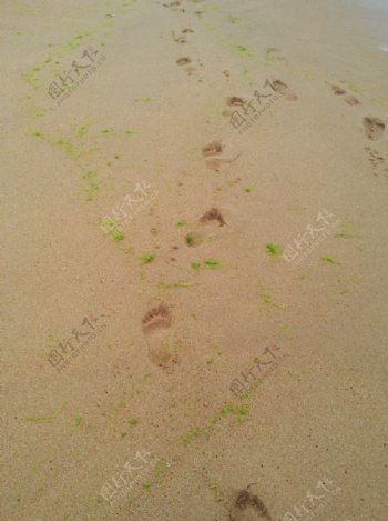 沙滩脚丫印图片
