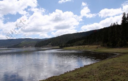 香格里拉的高原湖泊图片
