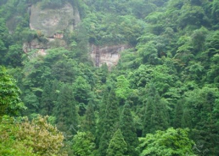 森林山崖图片
