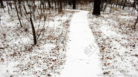 雪中路图片