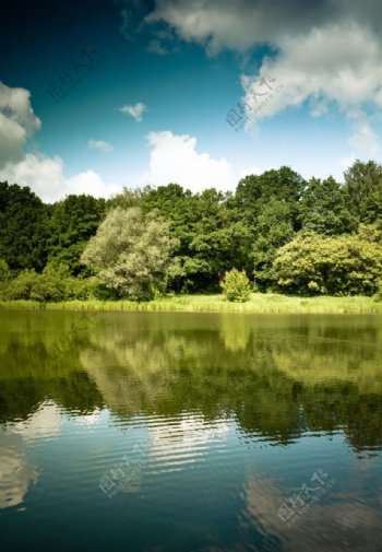 平静的湖水树林蓝天白云图片
