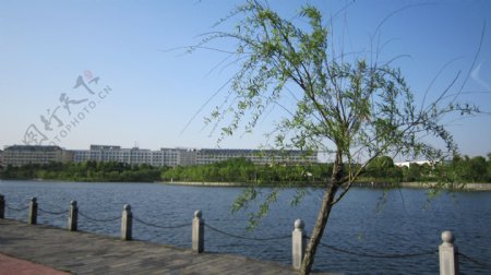 南昌大学湖畔图片