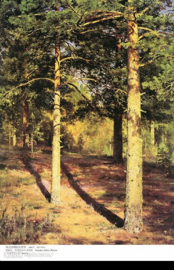 世界名画油画阳光照耀的松树林图片