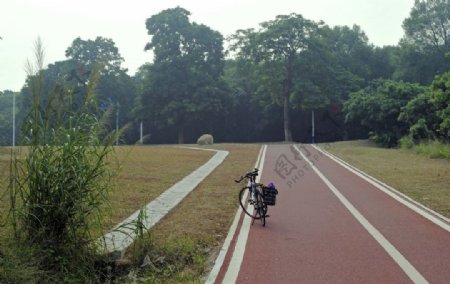 骑行广东绿道图片