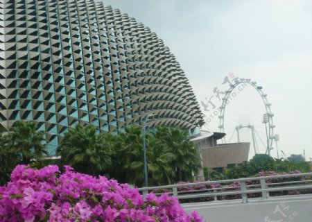 新加坡艺术中心图片