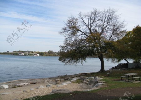 湖水树木图片
