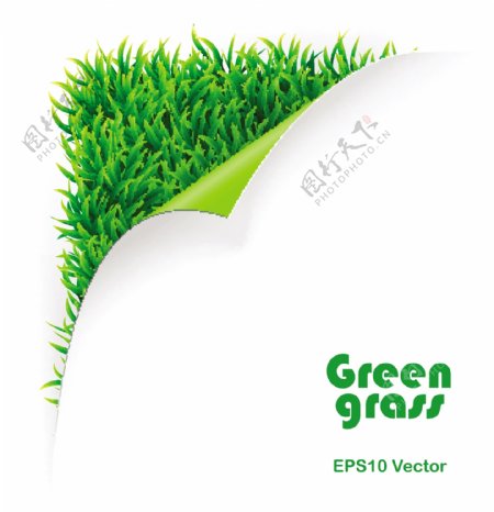 草地绿色环保背景图片