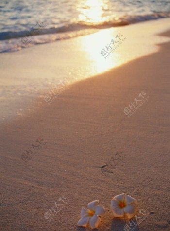 沙滩风光图片