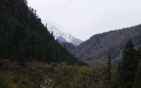 九寨沟雪山景图片