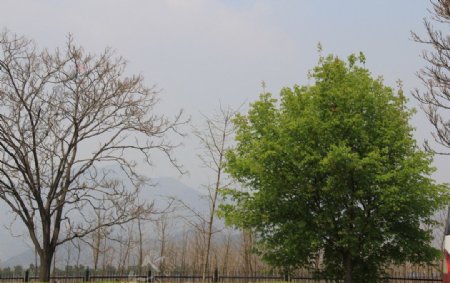北京郊游图片