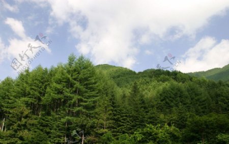 夏山的雲图片