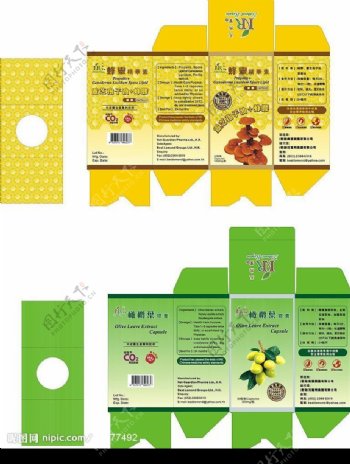 灵芝橄榄叶包装盒图片