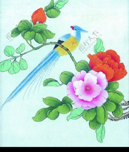 水彩花鸟国画全集共118图片