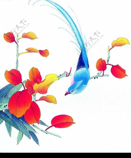 水彩花鸟国画全集共118图片