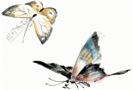 水墨风格的蝴蝶图片