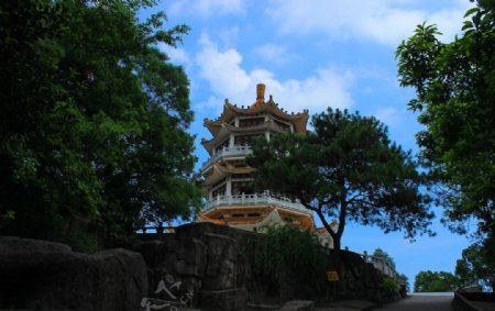 紫马岭公园之塔图片