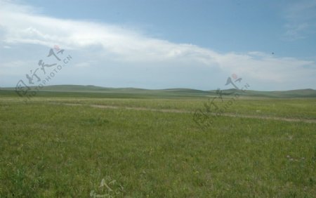 霍林郭勒大草原图片