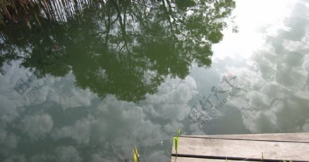 湖中倒影图片