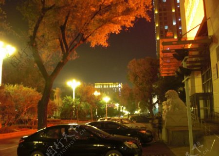 街区夜景图片
