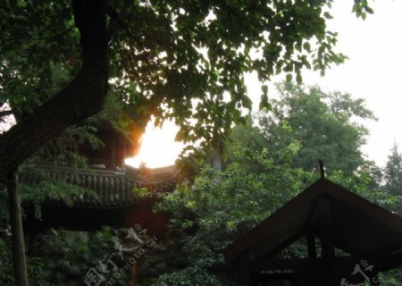 锦里夕阳图片