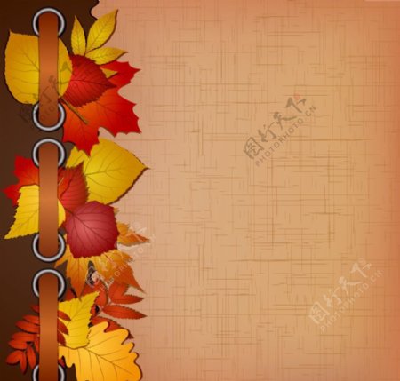 秋天树叶标签背景图片