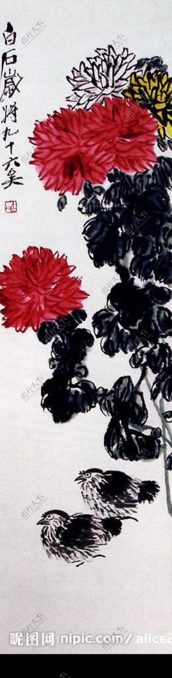 菊花鹌鹑2图片