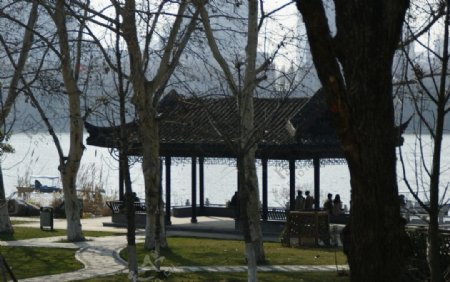 玄武湖公园图片