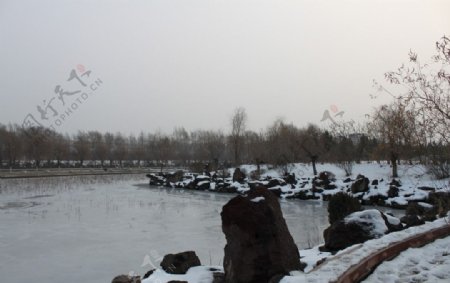 冬日池塘图片