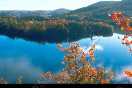 秋色湖图片