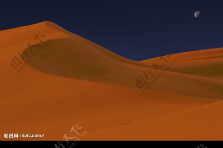 夜空下的沙漠图片
