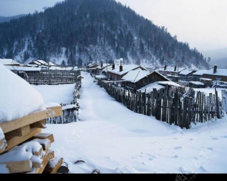 冬景迷人村庄雪路图片