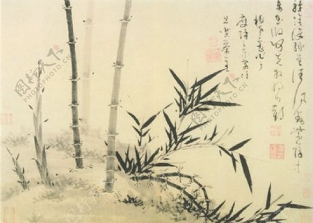 竹子字画图片