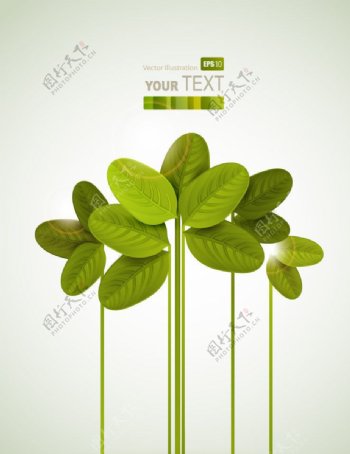 绿叶树木花纹绿色环保背景图片