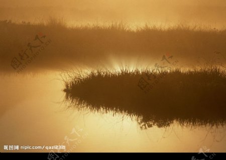 湖中雾景图片